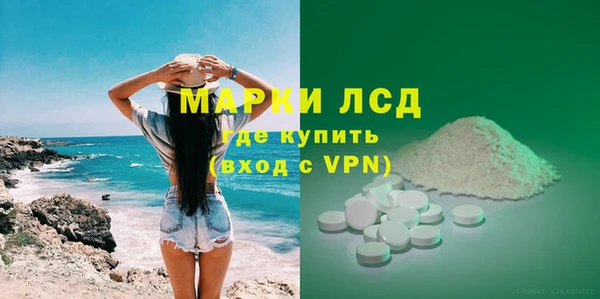 шишки Новодвинск