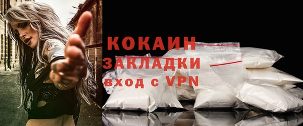 шишки Новодвинск