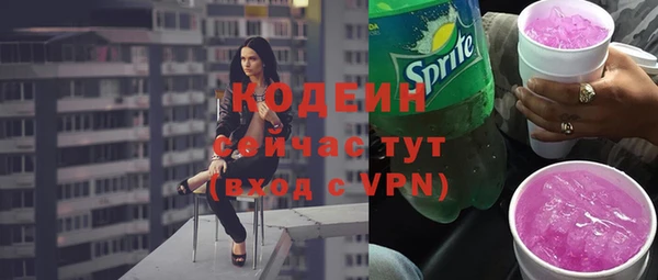 шишки Новодвинск