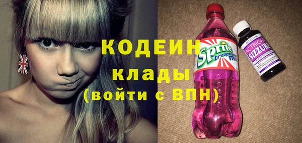 шишки Новодвинск
