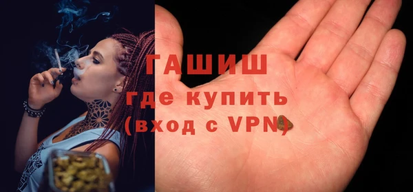 шишки Новодвинск