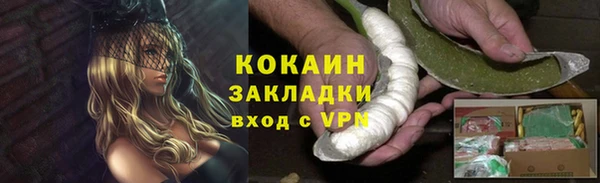 винт Новозыбков