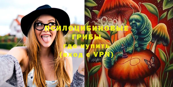 винт Новозыбков