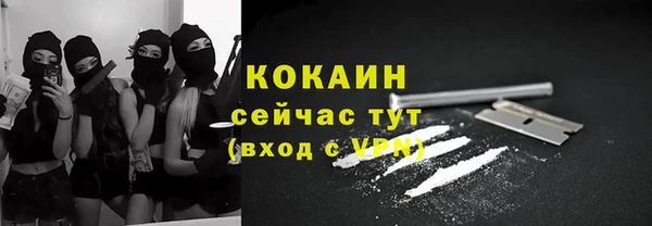 шишки Новодвинск