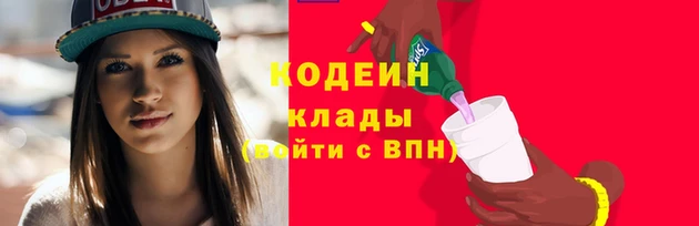 шишки Новодвинск