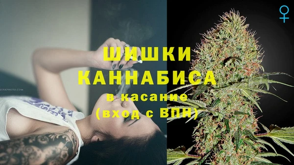 винт Новозыбков