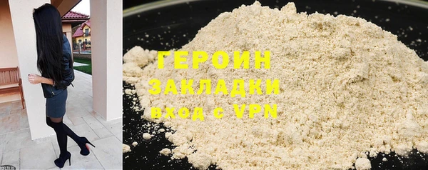 шишки Новодвинск