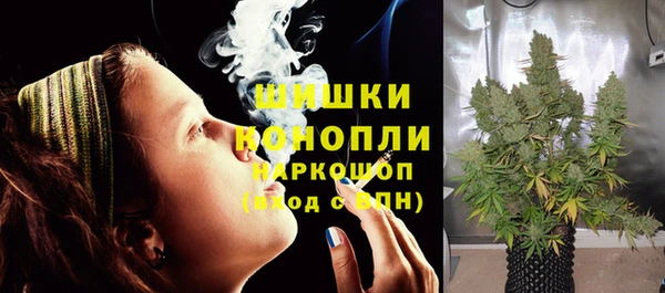 шишки Новодвинск