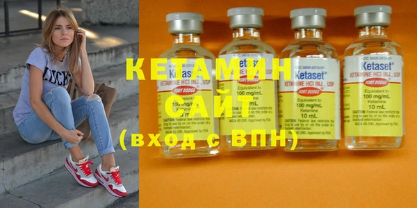 шишки Новодвинск