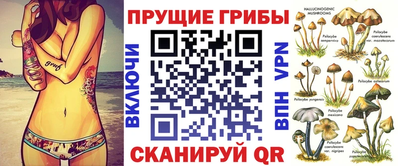 цены   Алагир  Галлюциногенные грибы Magic Shrooms 