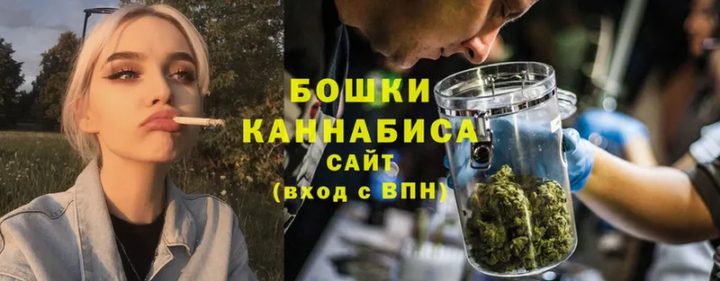 Каннабис OG Kush  Алагир 